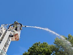 k1600_pxl_20250705_144811882