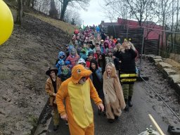 k1600_faschingsumzug2